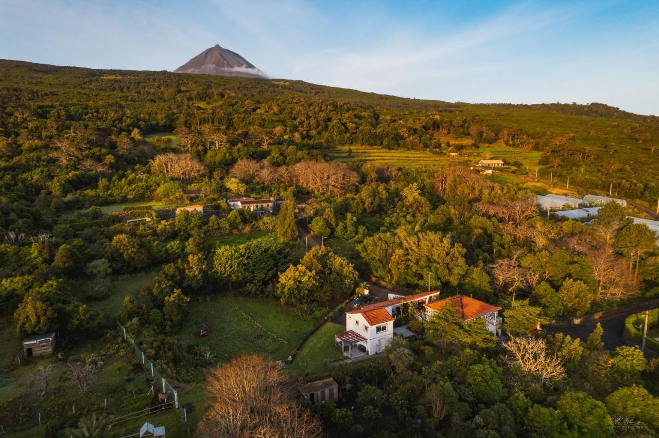 Quinta das Almas São Roque do Pico Exterior foto